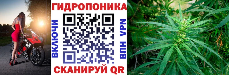 Купить закладку Углегорск ГАШИШ Альфа ПВП Амфетамин Бутират Меф мяу мяу КОКАИН
