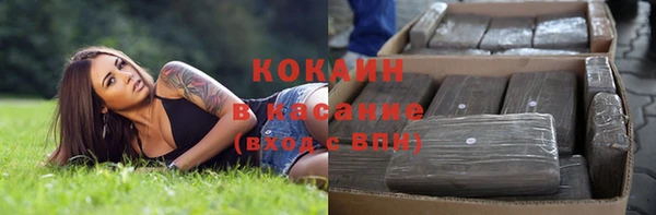сатива Кодинск
