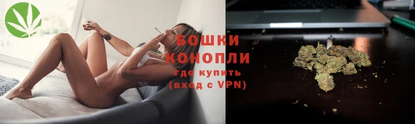 PSILOCYBIN Абаза