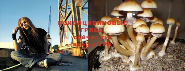 PSILOCYBIN Абаза